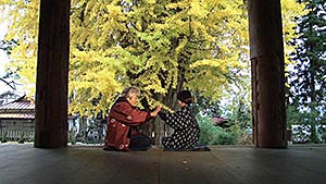 安孫子亘<<作品>>